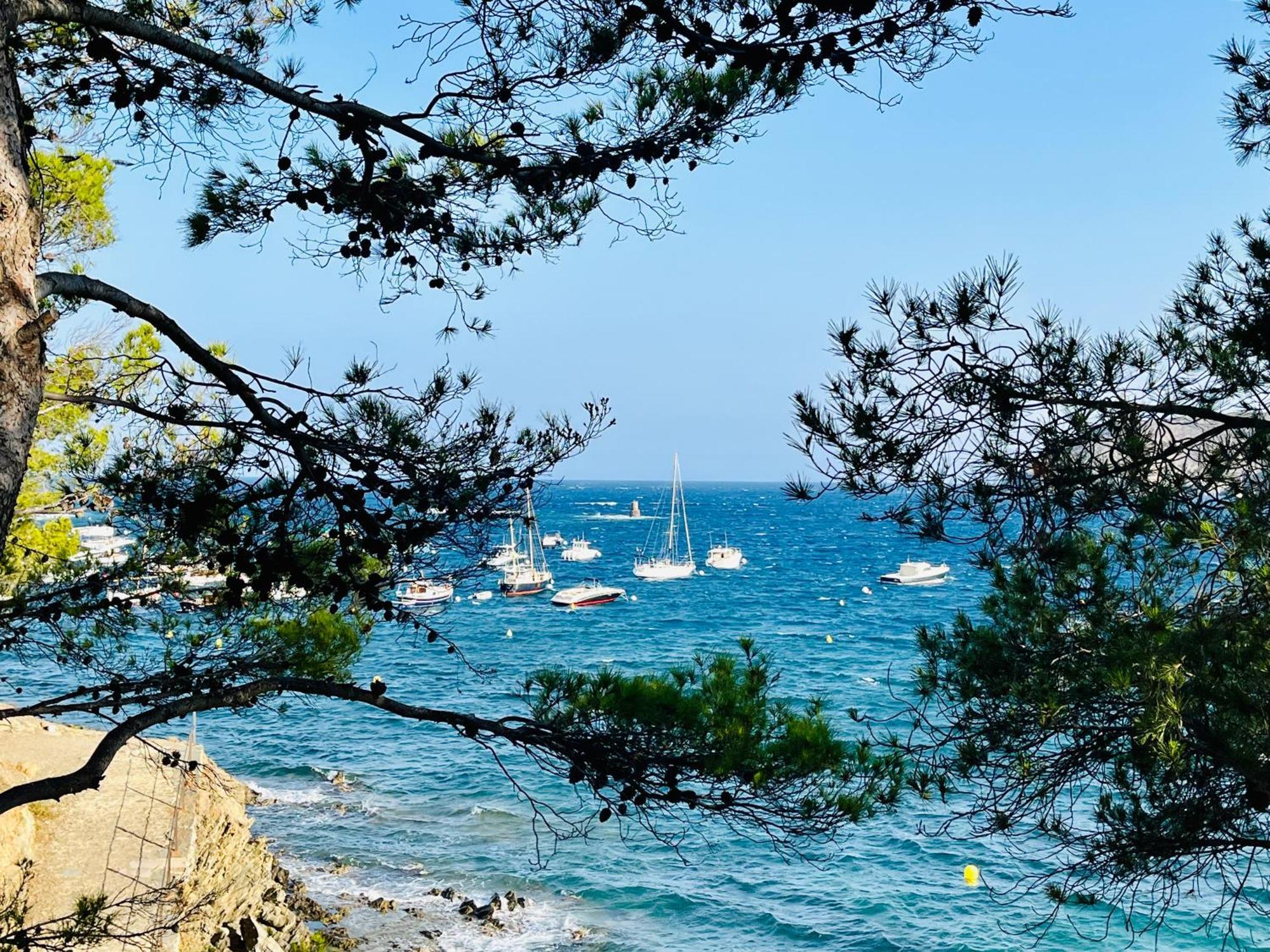 Vue Exceptionnelle Sur La Baie De Appartement Collioure