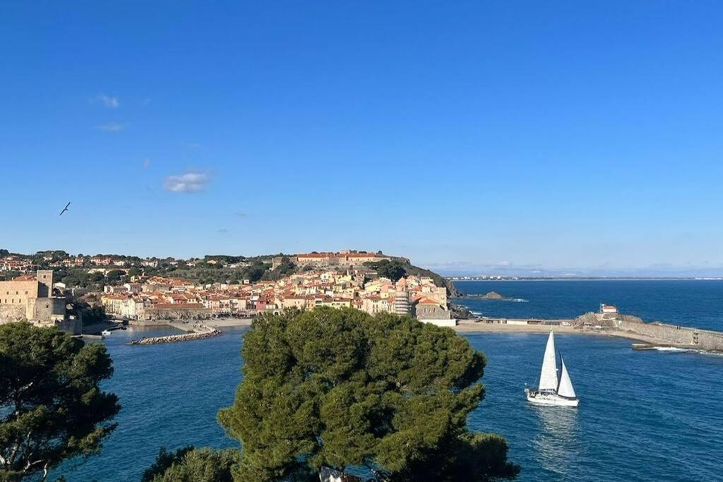 Vue Exceptionnelle Sur La Baie De Collioure