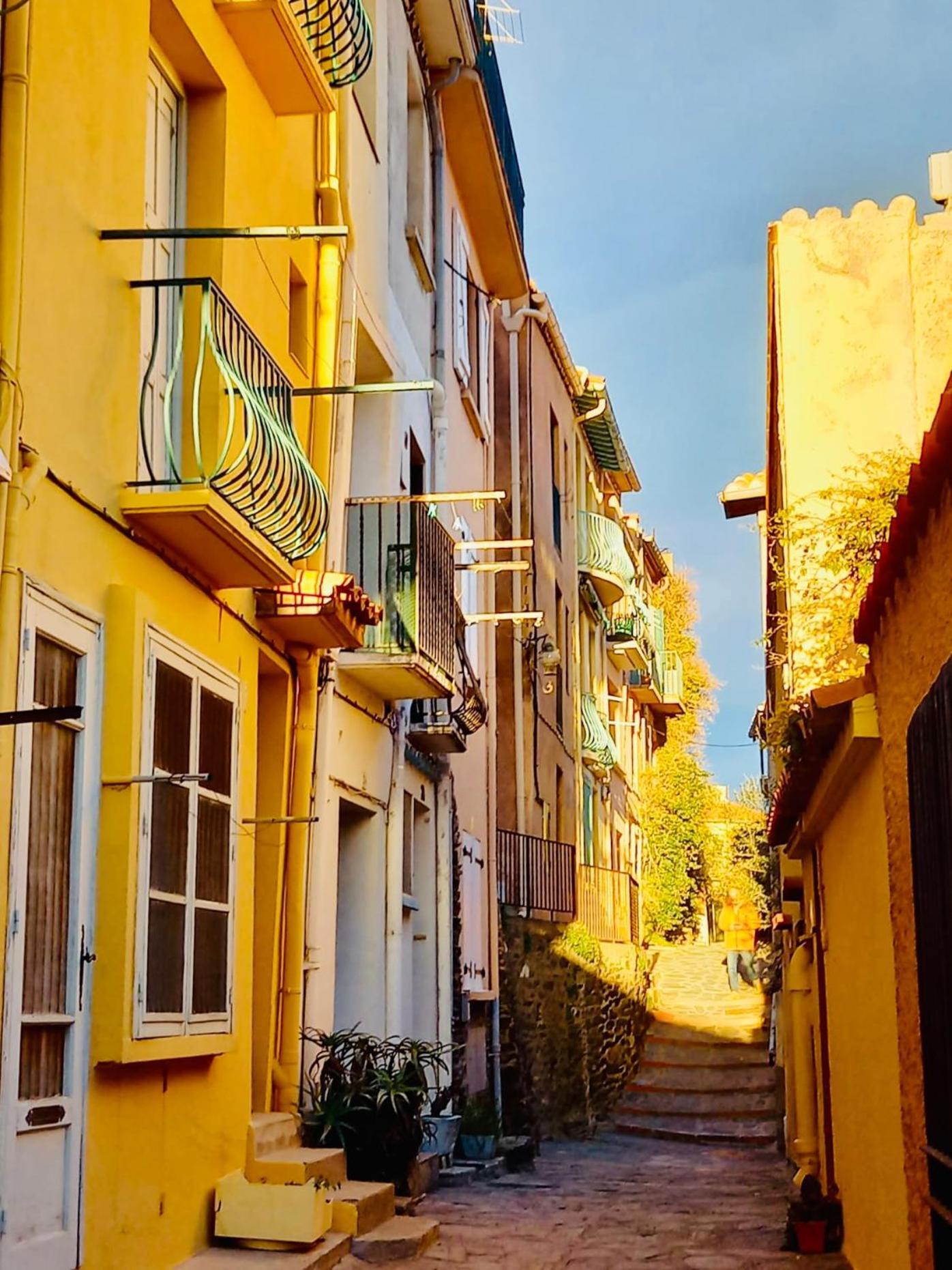 Vue Exceptionnelle Sur La Baie De Apartment Collioure