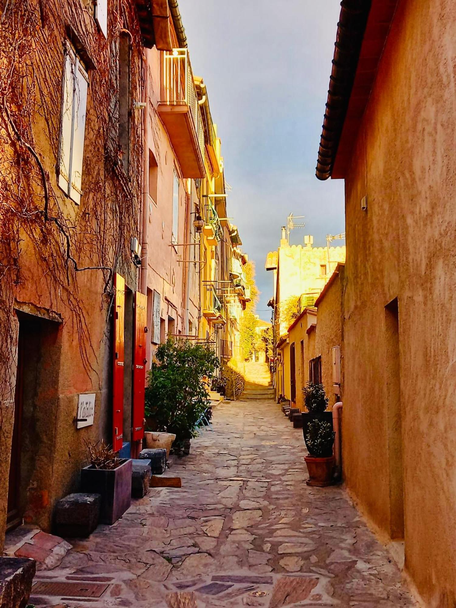 Vue Exceptionnelle Sur La Baie De Collioure