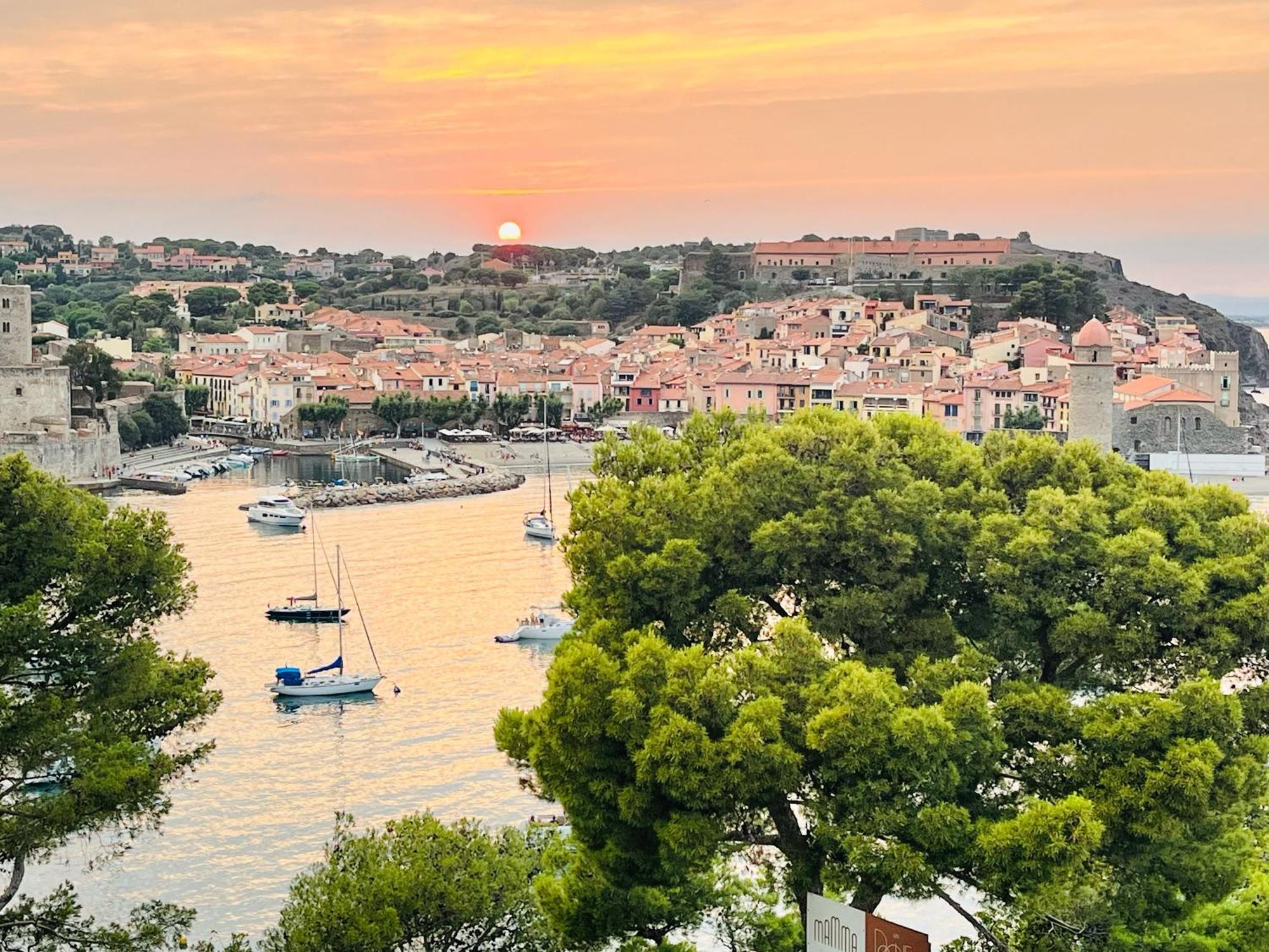 Vue Exceptionnelle Sur La Baie De Collioure